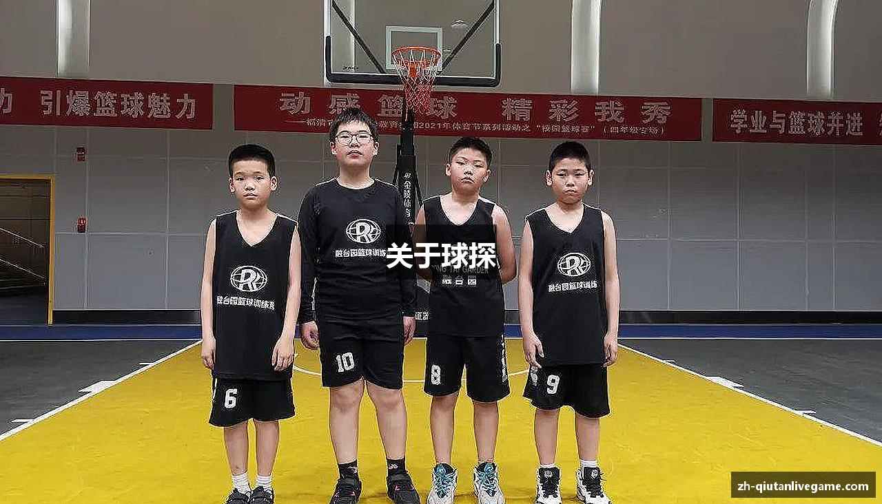 关于球探